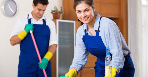 Cleaning Services